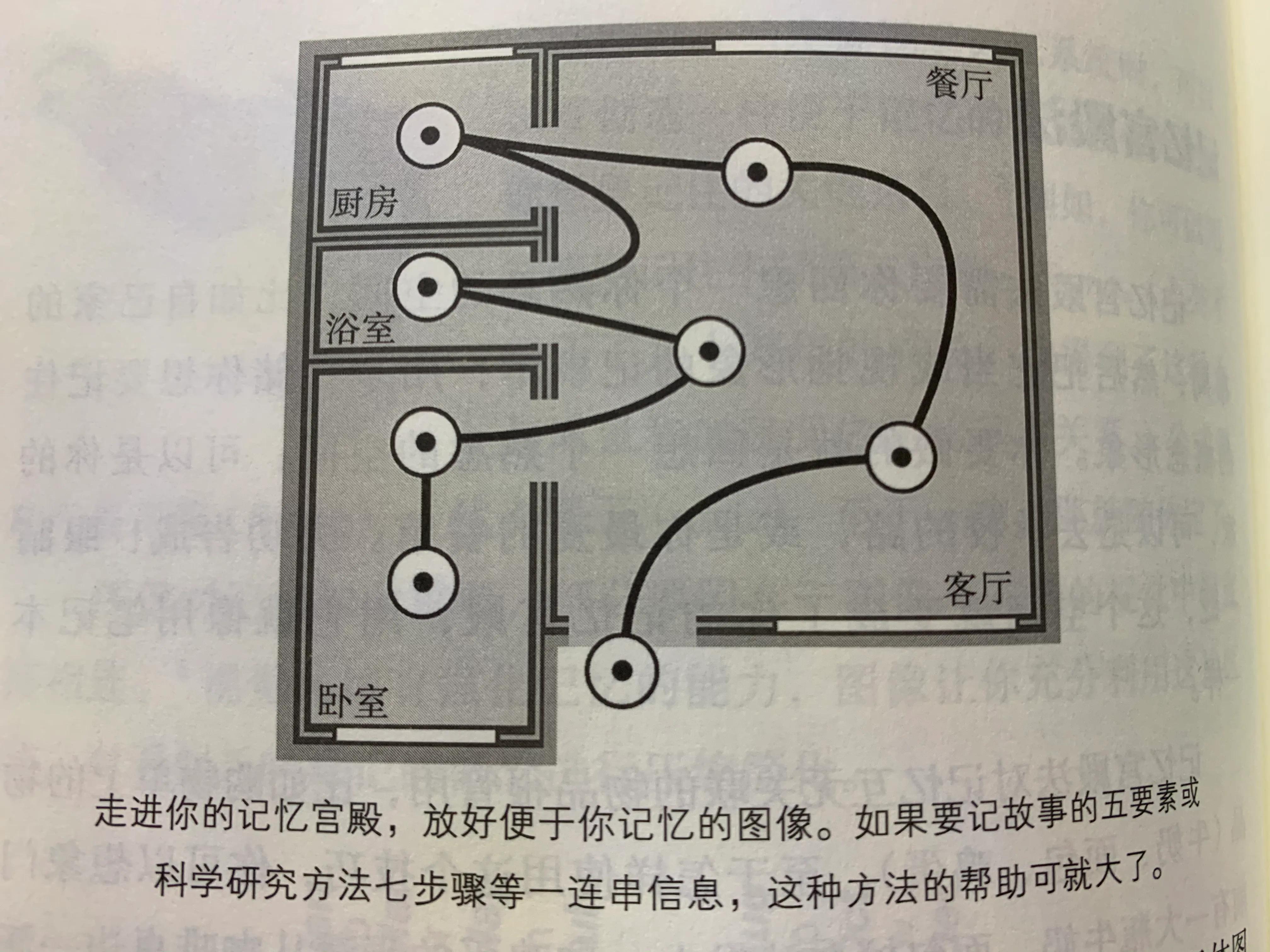 强你的记忆力大脑虽小，空间无限之《学习之道》