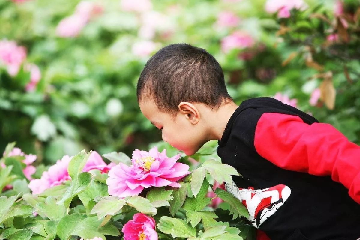 中医怎么解释病毒细菌,中医怎么形容病毒