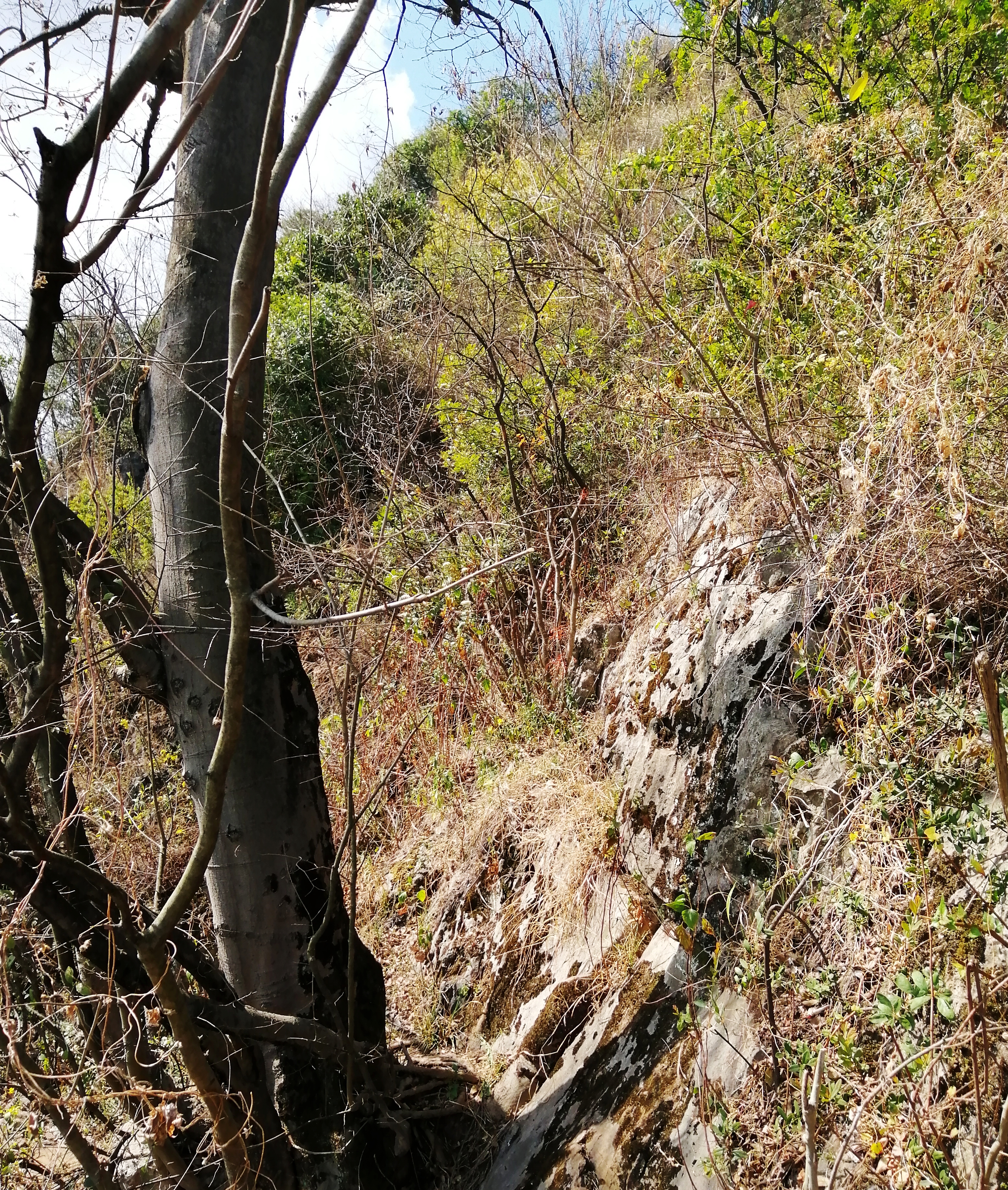 惊喜?悲哀?昆明三环徐霞客探寻过的两个溶洞,还是380年前样子