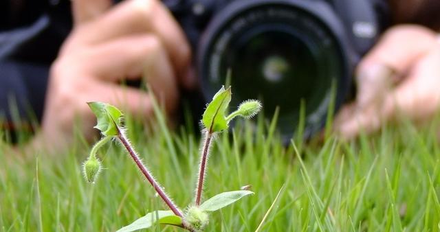 摄影最大魅力到底是什么,为什么好多人喜欢摄影师