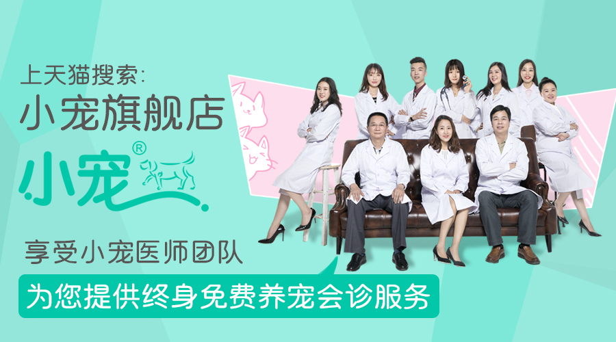 狗狗也会有姨妈期,狗狗也会有生理期吗