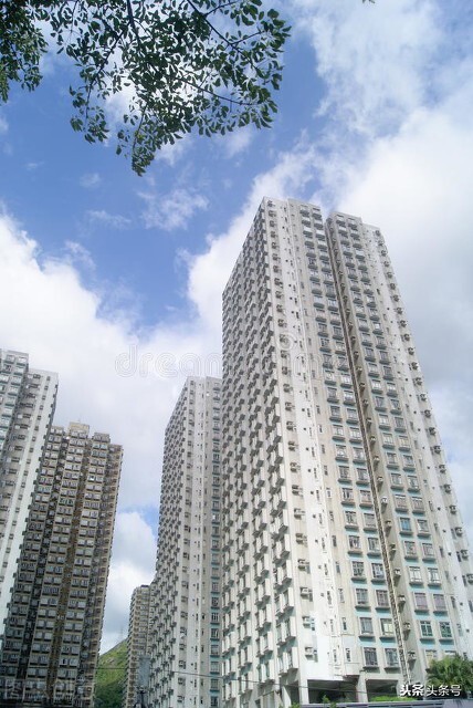 故事新编叶公好龙,故事叶公好龙