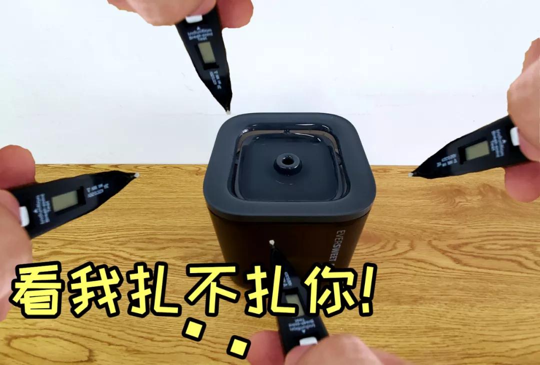 宠物饮水机“漏电”化身杨永信！你还敢让猫咪用它喝水吗？