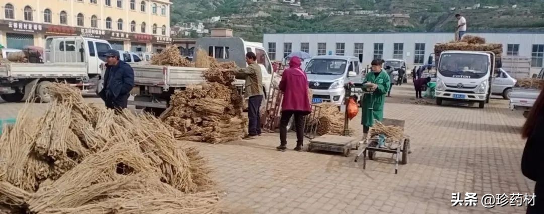 12月份中药材信息网药材价格行情,药材市场现状药材单价
