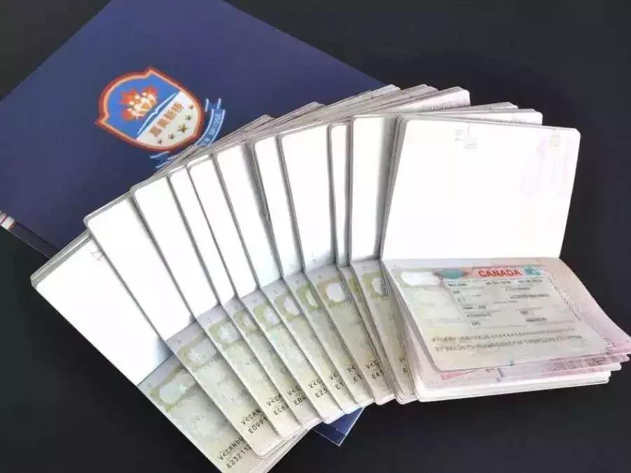 怎么快速获得欧洲签证信息,如何自己办理欧洲签证手续流程