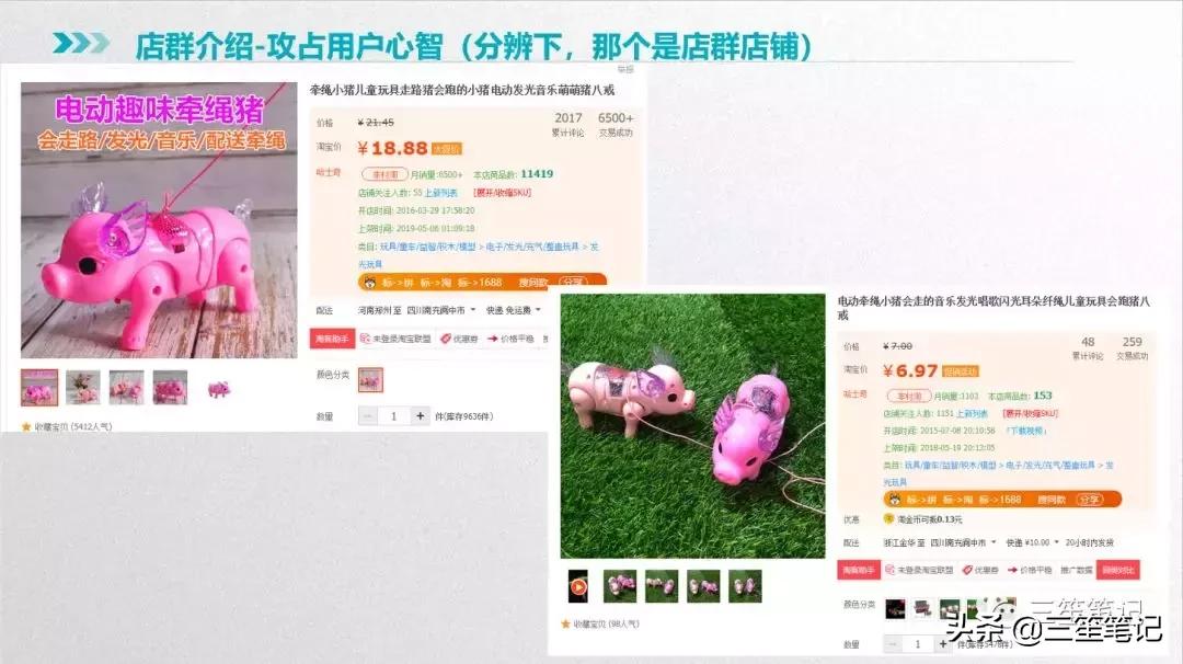 店群运营公司,抖音店群项目怎么运作