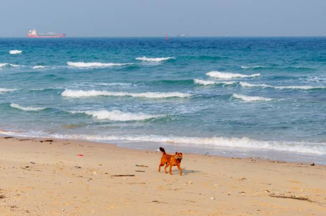 中国最美十大景区海岛风光,中国绝美海岛