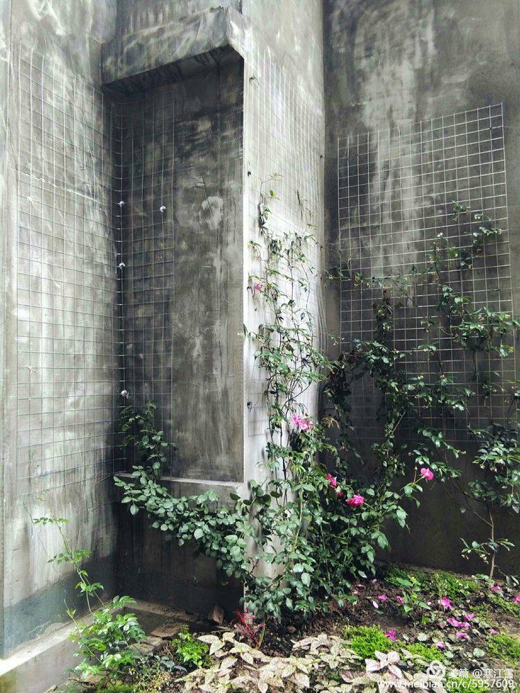 重庆网红景点城市之眼,重庆网红之城有多火