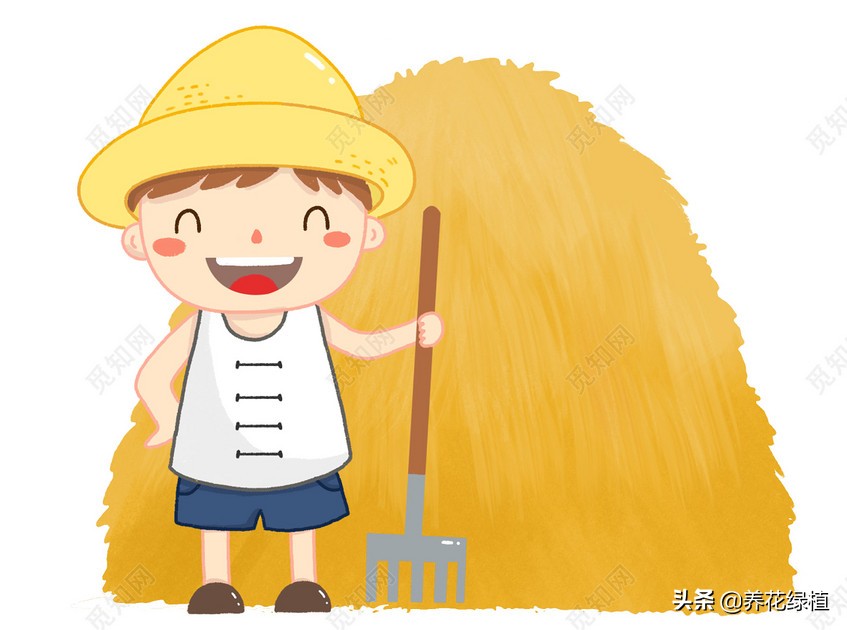 2021年是寡年,俗话:“寡年不见春,地收人不收”,什么意思