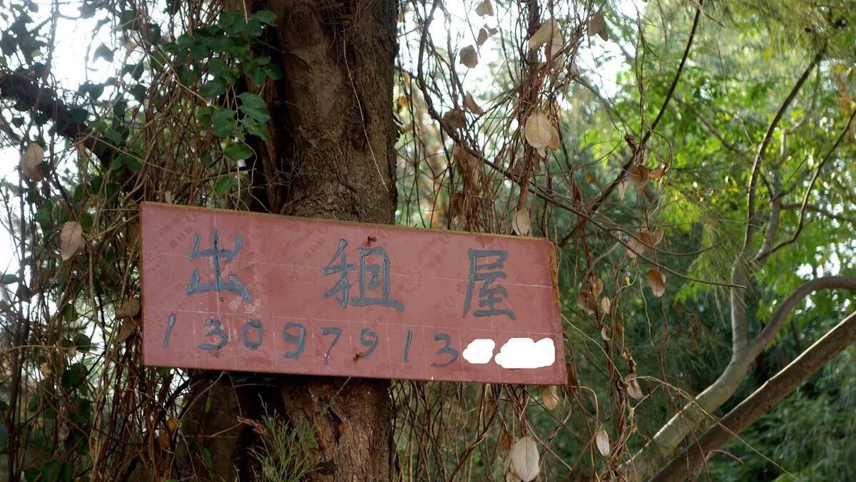 侨港边上的大、小老虎村,房租很低但住的人却很少,如今面临改造