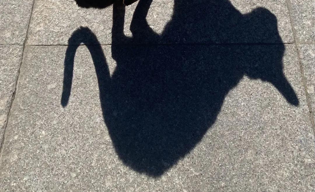 浣犺兘鐚滃嚭璋佺畻鎴戣緭,浣犵寽寰楀嚭鏉ョ畻鎴戣緭