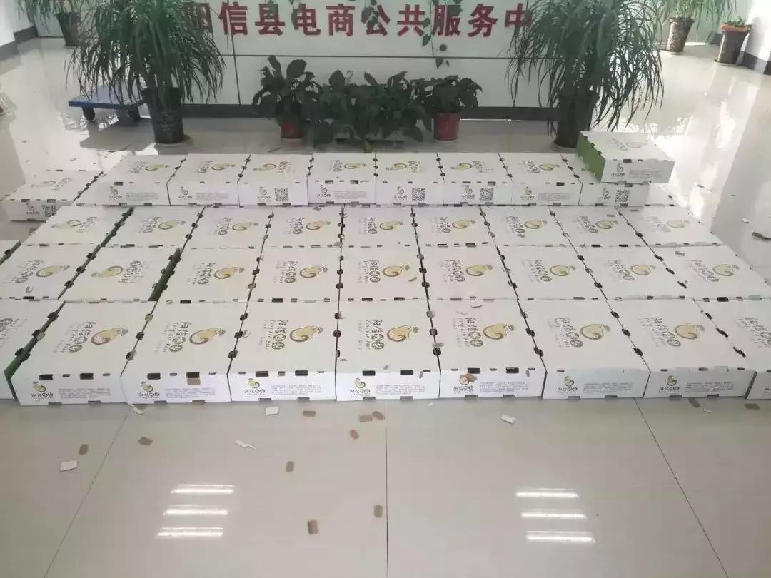 “阳信鸭梨”区域公用品牌形象标识