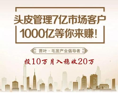 美女老板创业前景,美女老板创业靠谱吗