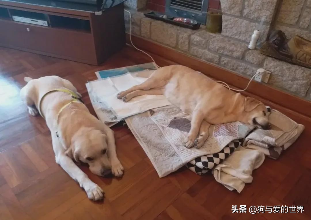 尔冬升怼哭郭敬明的时候 (尔冬升怼哭郭敬明是炒作吗)