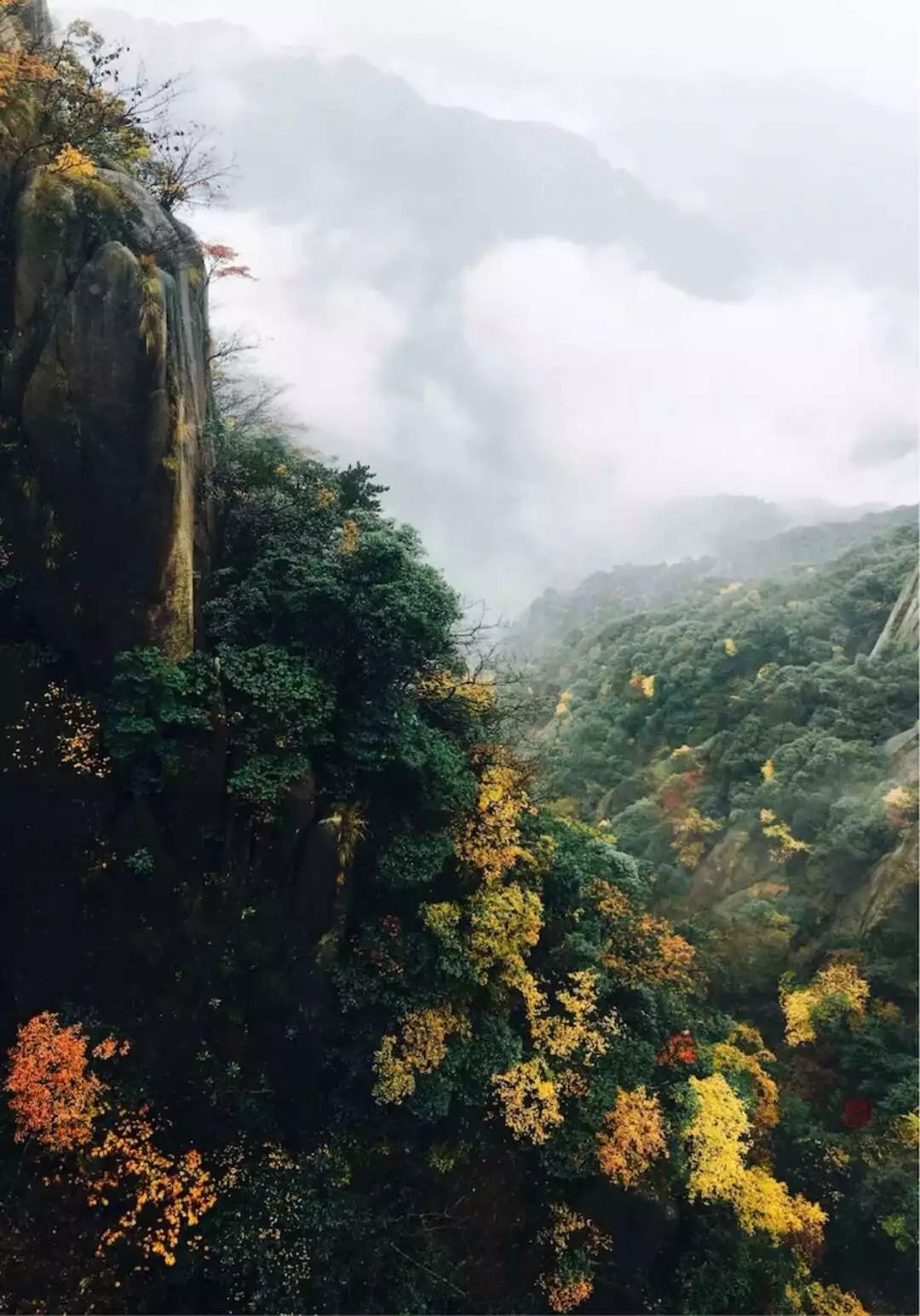 九华山下禅意,九华山禅隐民宿酒店