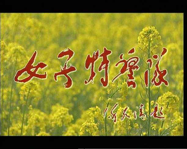 电视剧女子特警队演员的现状,2000女子特警队