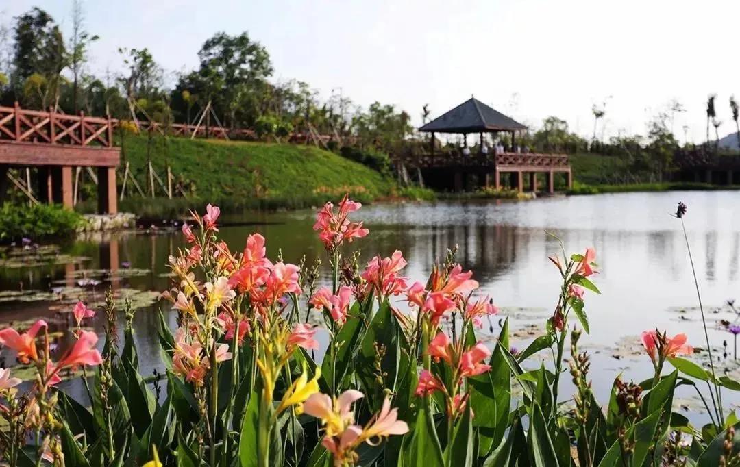 在三亚有块地,三亚有什么好玩的地方