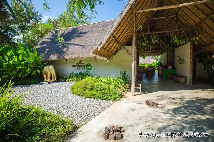 暑假去泰国旅游攻略,暑假去泰国玩好吗