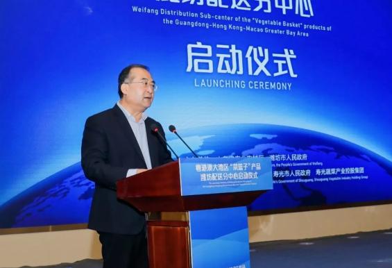 寿光菜篮子果蔬,寿光粤港澳大湾区蔬菜