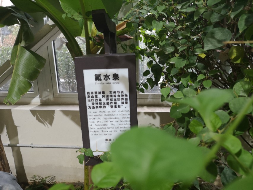 潍坊温泉有哪些,潍坊哪里有温泉