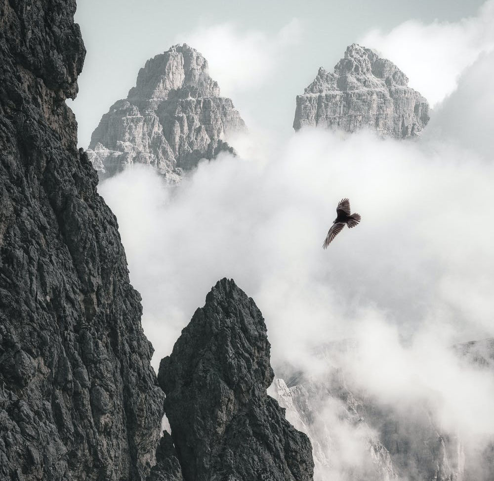 社恐找心理医生还是心理咨询师,心理医生和心理咨询师哪个赚钱多