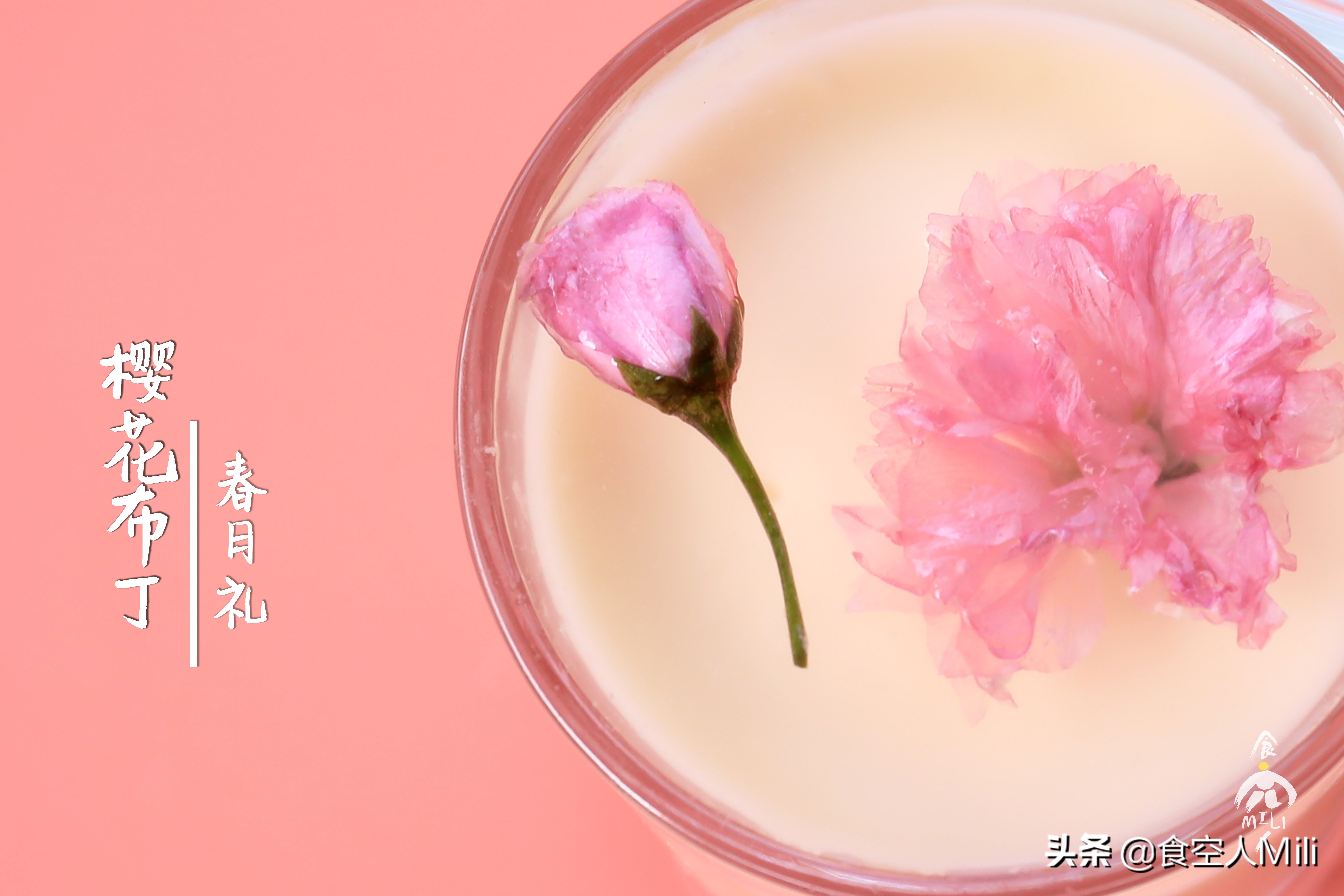 樱花芝士布丁,经典原味芝士布丁