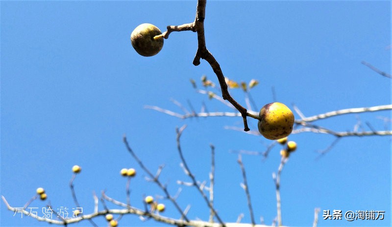 趁青春多折腾,趁着年轻四处游一游