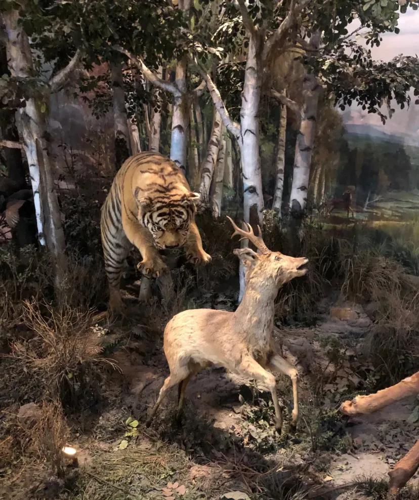 上海科技馆官网,上海科技馆球幕影院