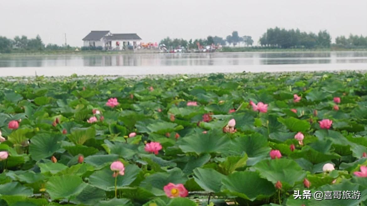 绵阳市盐亭县有什么好玩的地方,绵阳市盐亭旅游