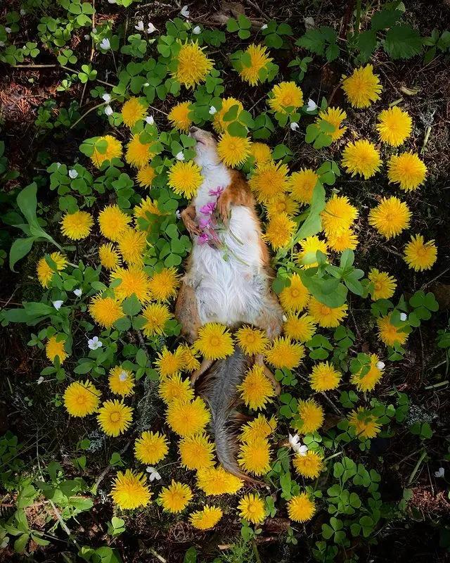 葬礼当天，她成为了四个孩子的“后妈”，网友：这是童话故事吧