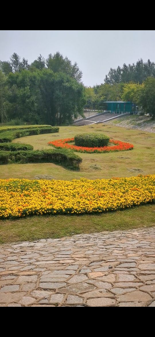 从哈尔滨松北大道右转太阳大道，豁然开朗