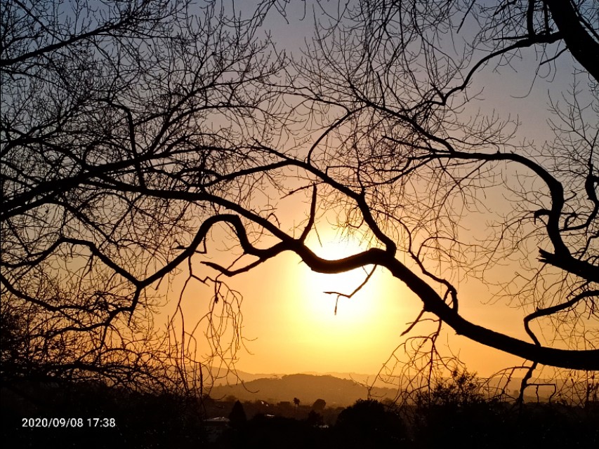 一树山,我的精神家园