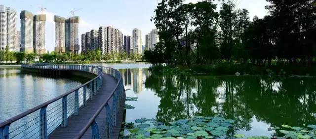 看看纽约中央公园的美景,真实的纽约中央公园