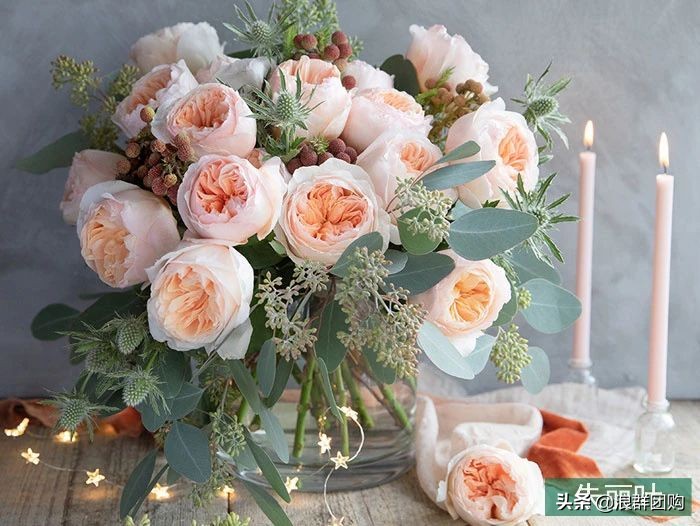 月季哪些品种大花又香,月季哪些品种花期长耐阴耐寒耐旱