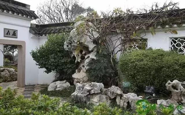 庭院盆景石头摆放图片,用什么摆放石头盆景好风水