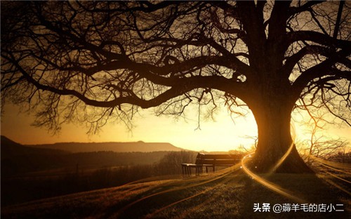 家里有车可以做什么兼职,网络兼职做任务靠谱吗