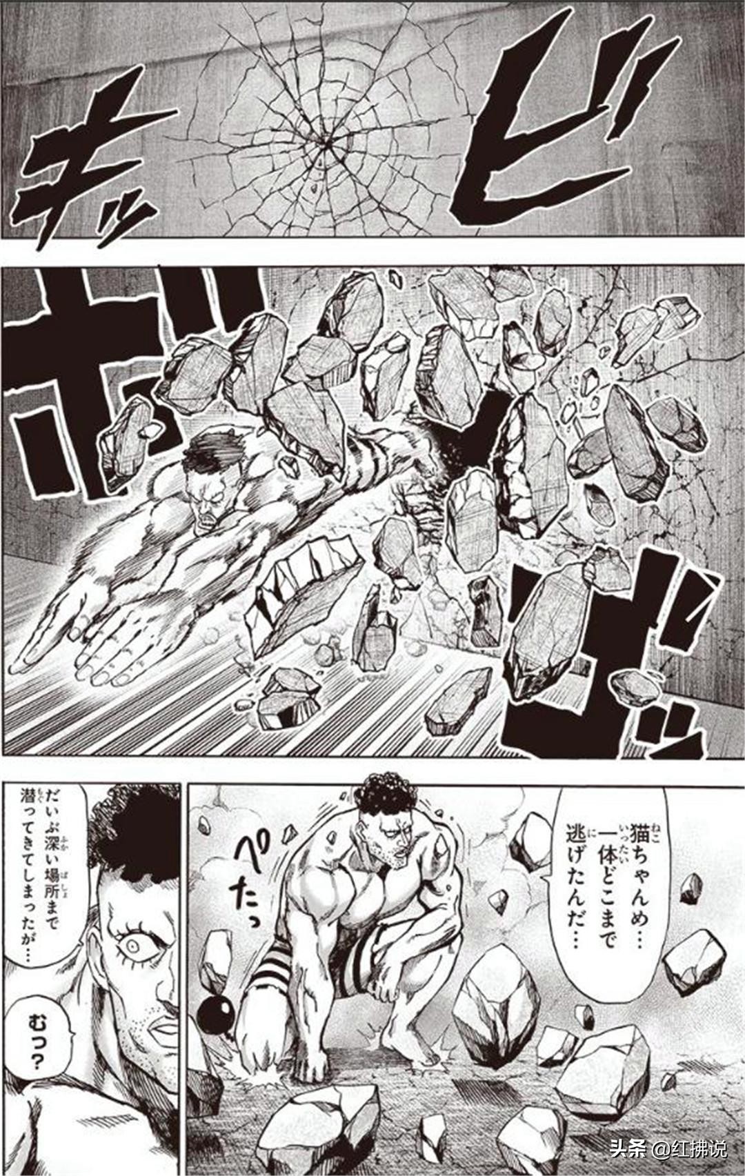 一拳超人最新：女装忍者闪光遇埼玉？久违了饿狼