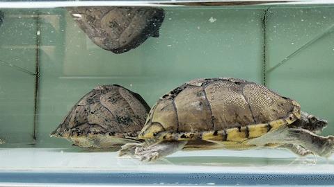 不去后悔去了更加后悔的景点,不去后悔去的景点