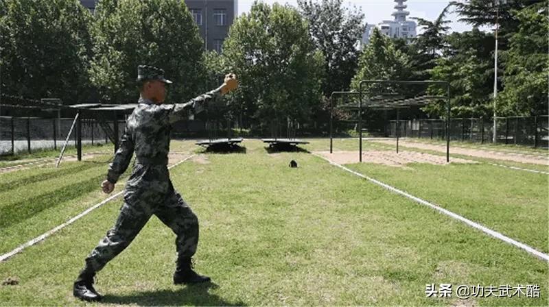 兵哥教你*首匕**格斗术(可用防身笔代替),招式简洁,刀刀击要害