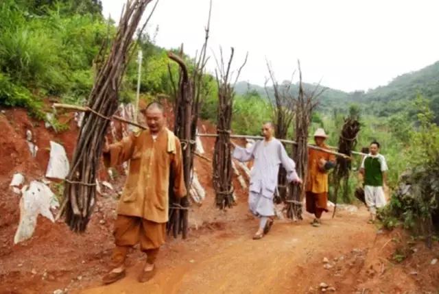 农禅并重的意义,农禅并重的寺院