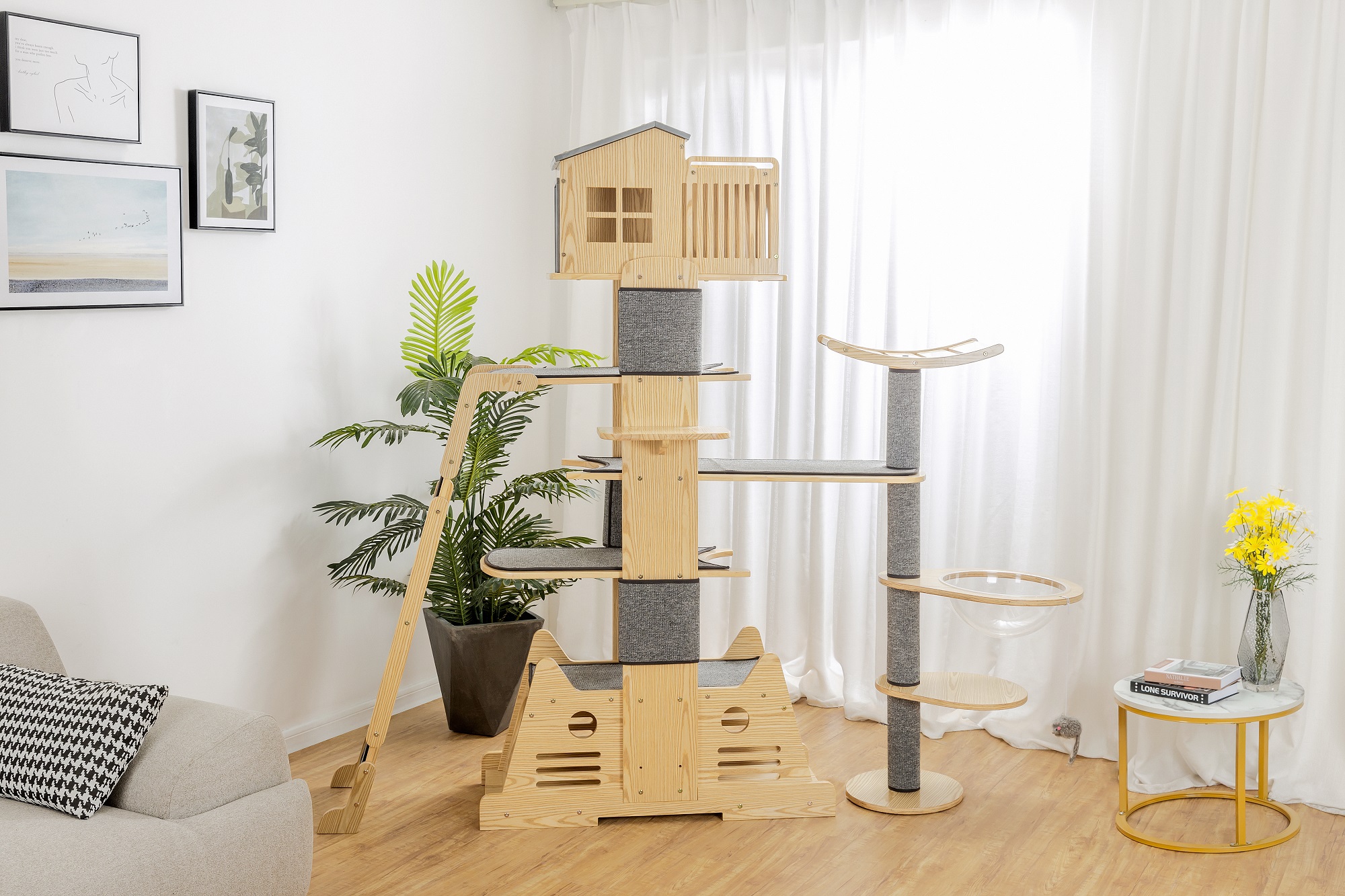 如何为猫咪选购猫爬架？