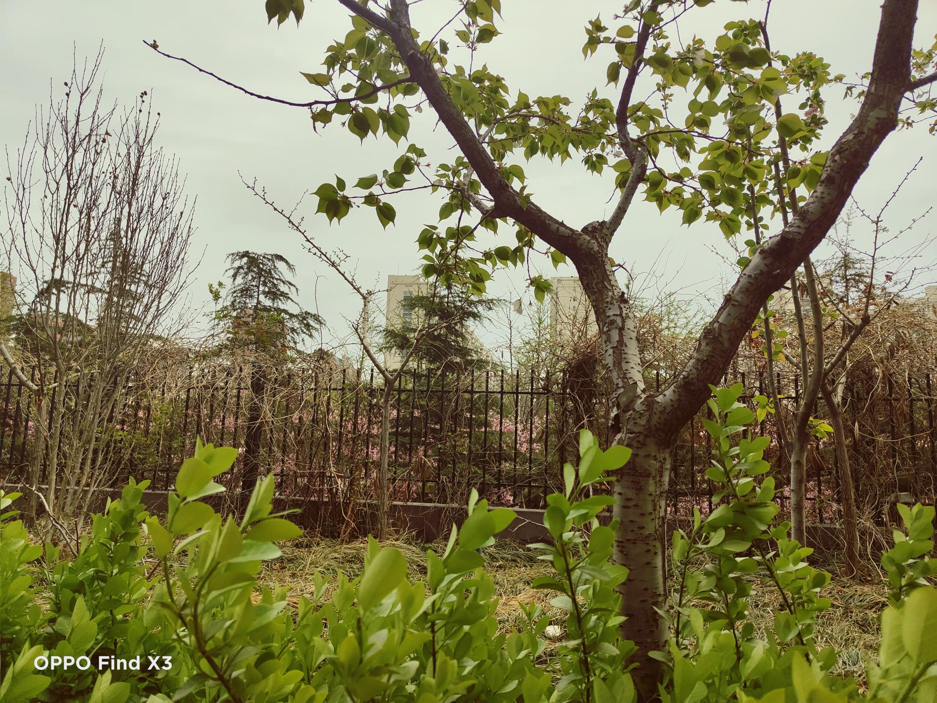 oppofindx3pro能和iphone比吗,oppofindx3真实体验