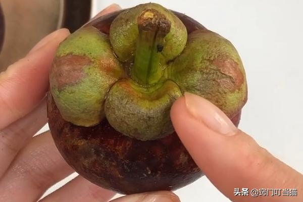 山竹顶上有小机关,山竹顶部小机关视频