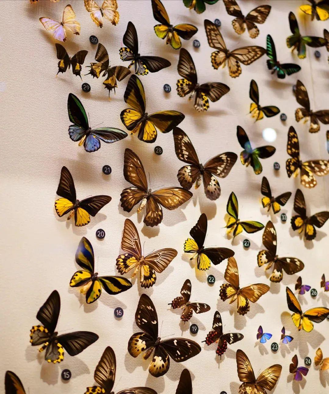 浙江孩子暑假,宁波暑期孩子游玩