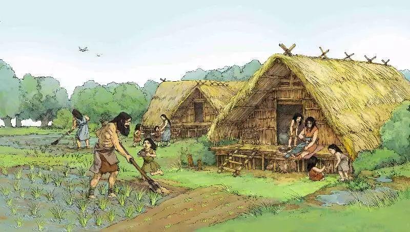 古人吃米饭的真实历史,古代人吃的米饭是怎么来的