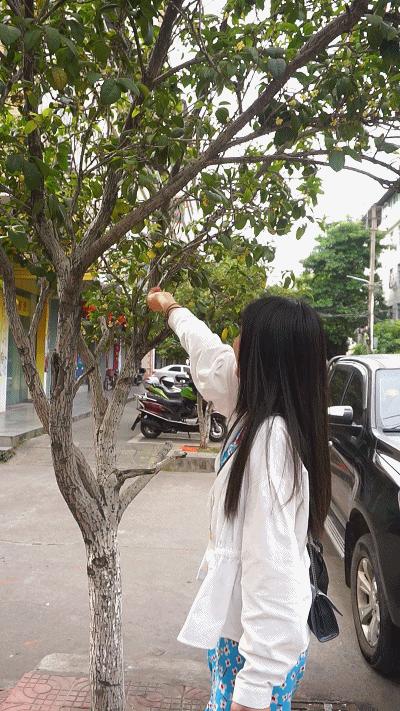 梅州两天一夜吃货攻略,去梅州吃小吃的周末游记