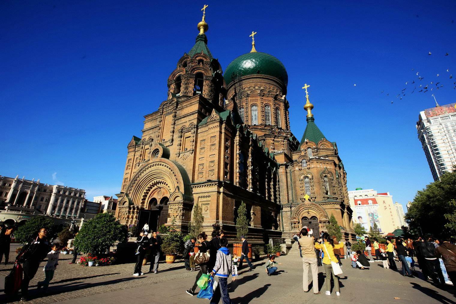 中考数学求线段比值题型,哈尔滨中考数学圆相似压轴