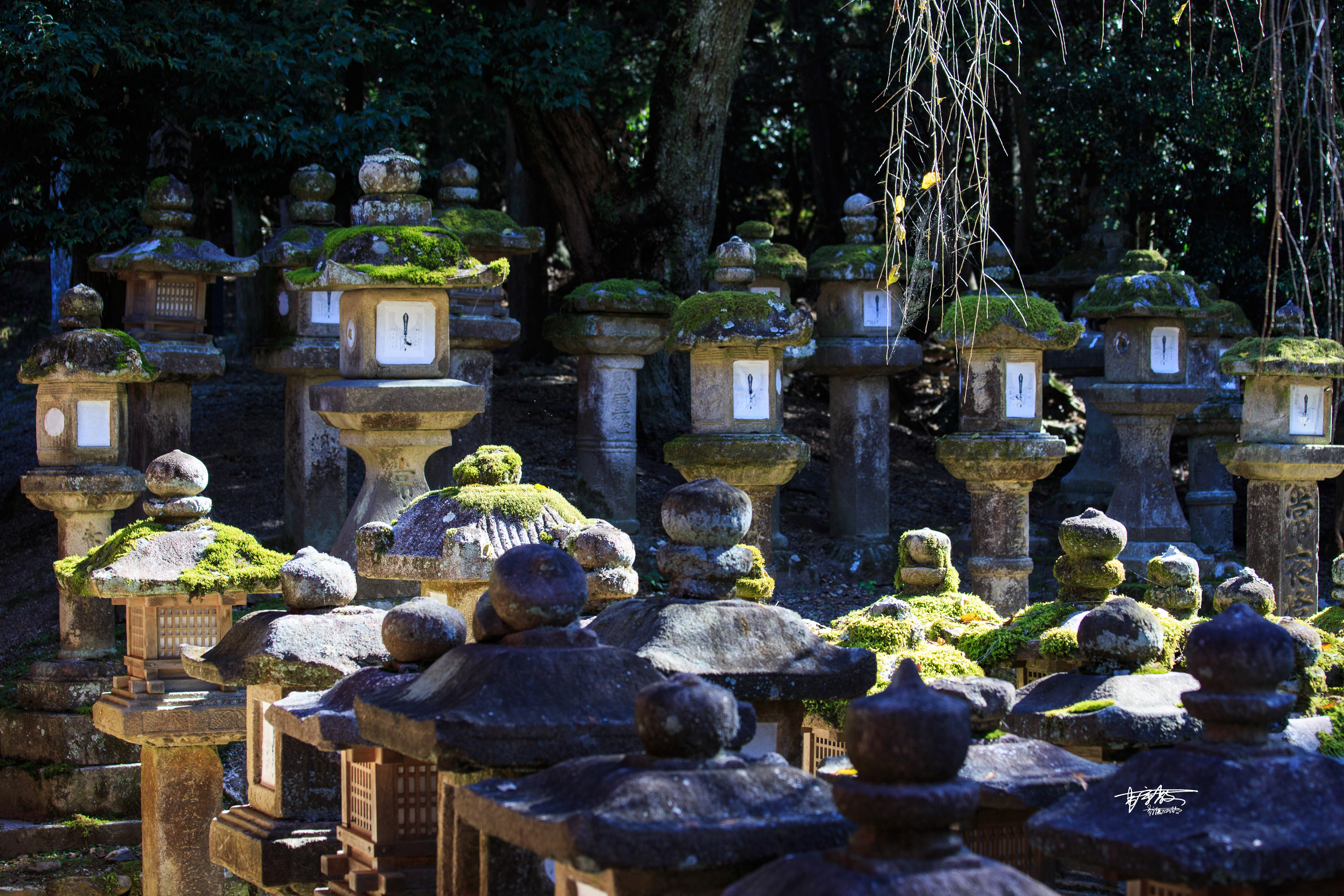 网红打卡景点奈良,日本奈良10大网红打卡景点