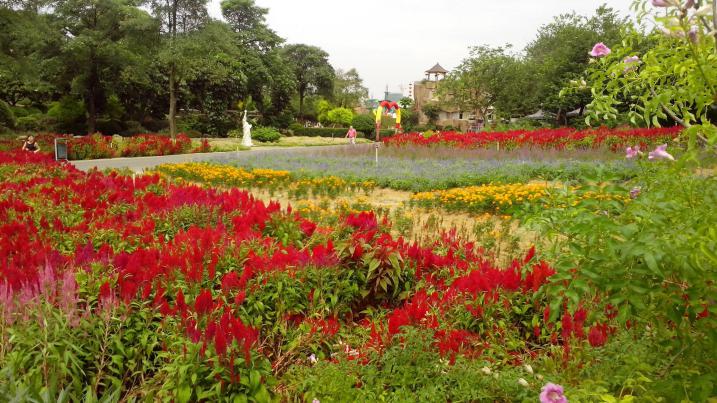 南昌新增一处网红打卡地,南昌网红打卡地适合孩子玩