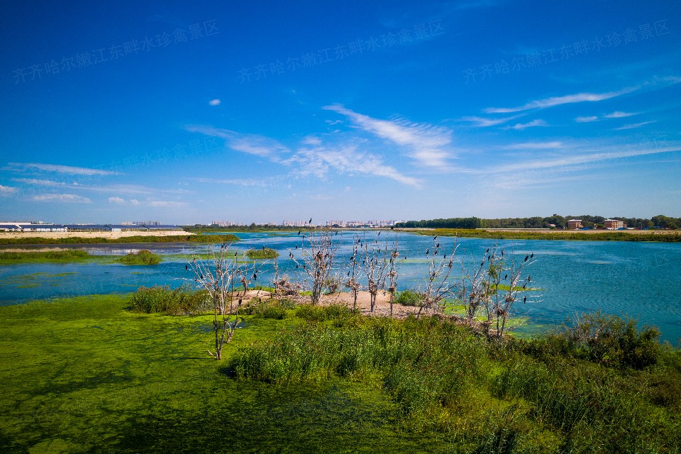 榻愰綈鍝堝皵瀚╂睙涓滄按鐝嶇鍏洯,榻愰綈鍝堝皵瀚╂睙涓滄按鐝嶇婀垮湴鍏洯